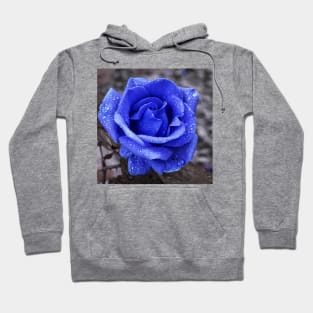 Blue rose Hoodie